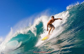 飞鲸体育直播-英超球员现实生活现状如何？从场上球星到场下普通人